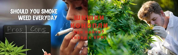 стаф Армянск