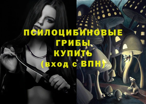 каннабис Арсеньев